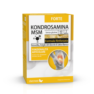 KONDROSAMINA MSM FORTE